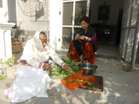 Gallery image 62