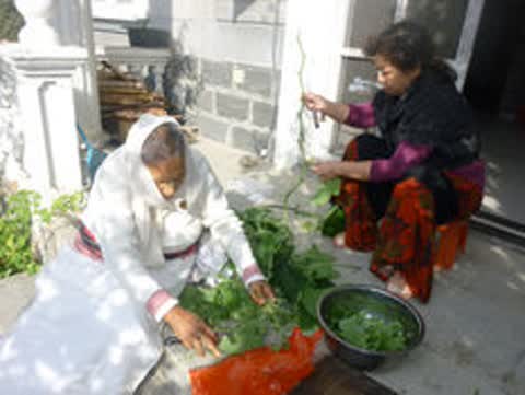 Gallery image 63