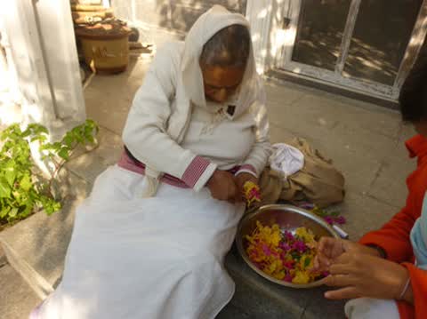 Gallery image 7