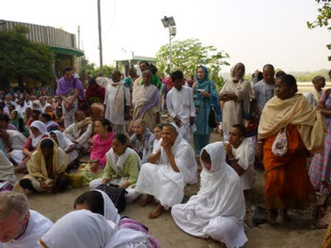 Gallery image 6
