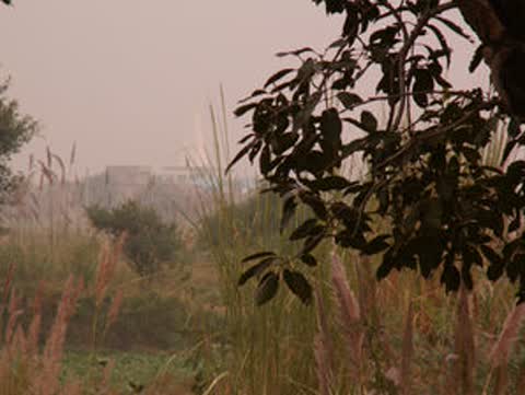 Gallery image 62