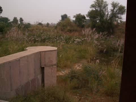 Gallery image 66